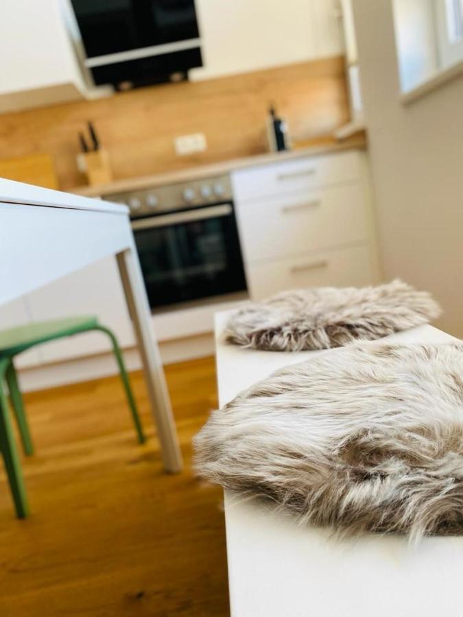 Vinestia Cityloft Storchenblick, Non-Serviced Appartement Leibnitz Zewnętrze zdjęcie